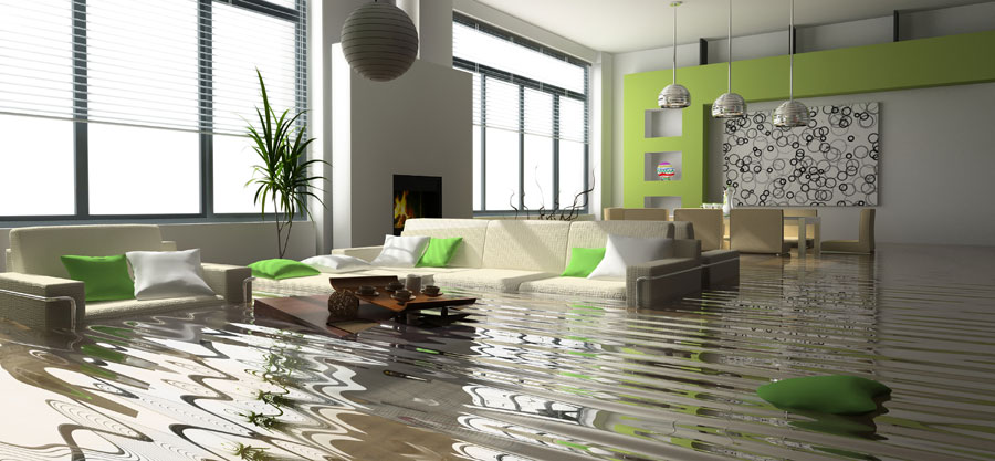 The Top 10 Reasons You Should Call A Water Damage Specialist