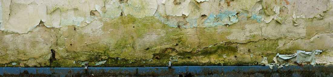 Water Damage and Toxic Mold