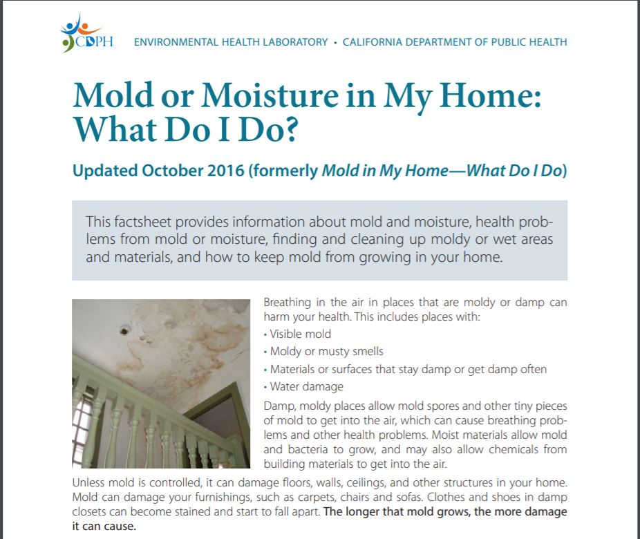 Mold or Moisture in My Home:  What do I do?