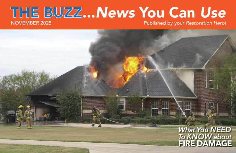 HEALTHY, WEALTHY & WISE NOVEMBER 2025