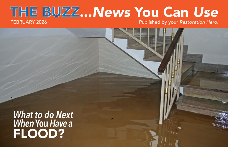 HEALTHY, WEALTHY & WISE FEBRUARY 2026