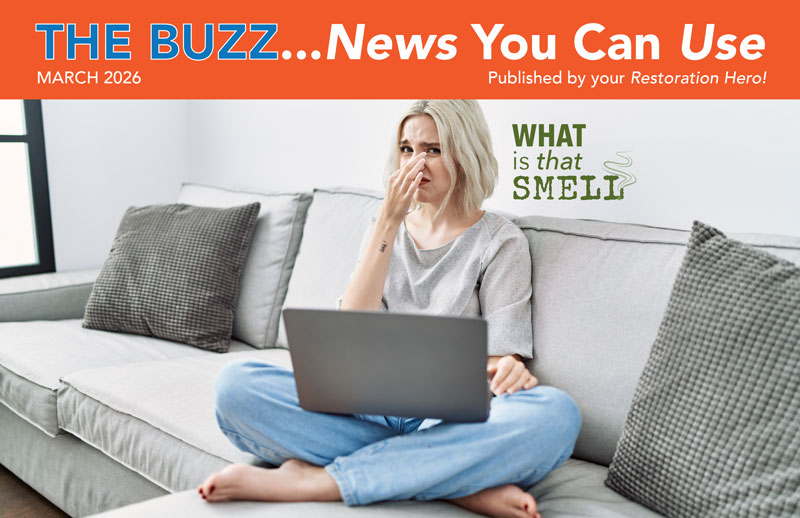 HEALTHY, WEALTHY & WISE MARCH 2026