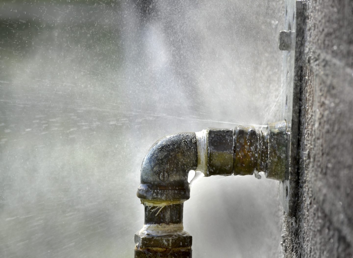 What to Do After a Burst Pipe